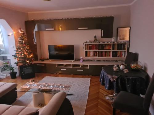 蒂米什瓦拉Lara's Residence的客厅配有圣诞树和电视
