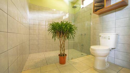 福尔图纳Wellness Park CR的一间带卫生间和盆栽的浴室