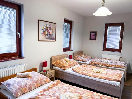 基什孔弗莱吉哈佐Malom Panzió的带窗户的客房内设有四张床。