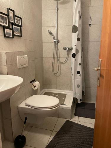 科隆科隆二号公寓的带淋浴、卫生间和盥洗盆的浴室