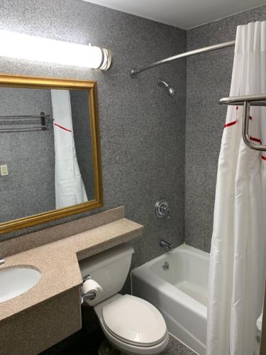 考皮格Red Roof Inn Copiague的一间带卫生间、水槽和镜子的浴室