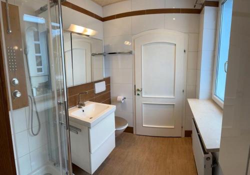 大格迈因Haus Schmidhuber Wohnung 5 mit sonniger Terrasse的浴室配有卫生间、盥洗盆和淋浴。