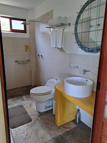 马祖特Posada Nautica的一间带卫生间、水槽和镜子的浴室