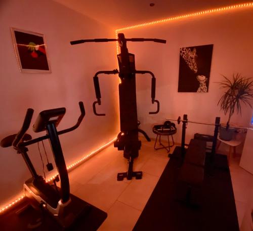 加格瑙Schwarzwaldliebe Ferienzimmer mit Bad的一间设有健身房的房间,里面设有健身器材