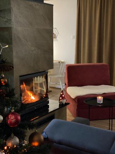 GnjilaneVilla Pluto的客厅配有圣诞树和壁炉