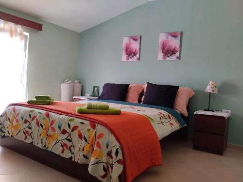 戈里察Dhoma romantike , qetesi absolute!的一间卧室配有一张带彩色毯子的床