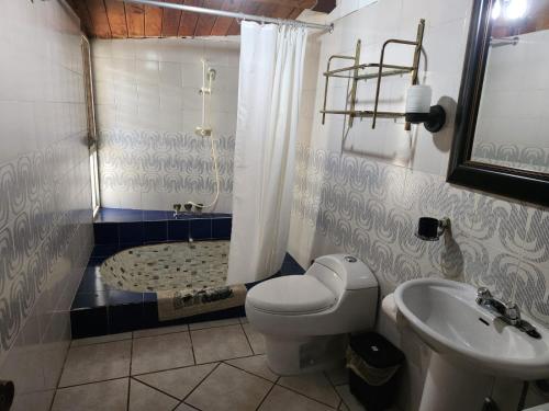 Cerro de OroCASA XOCOMIL的浴室配有卫生间、盥洗盆和浴缸。