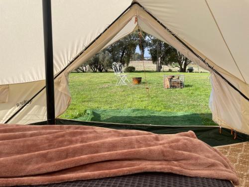 亚拉腊Cosy Glamping Tent 4的帐篷,后面有绿色的场地