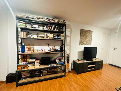 格拉纳达Apartamento 10 minutos de centro de Granada的一间设有书架和电视的房间