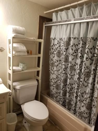 大熊湖树带界线山林小屋的一间带卫生间和淋浴帘的浴室