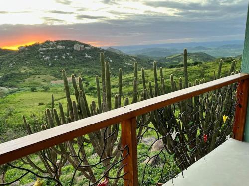 蒙蒂达斯加梅莱拉斯Chalé romântico, com vista panorâmica, para Casais的从仙人掌阳台可欣赏到风景