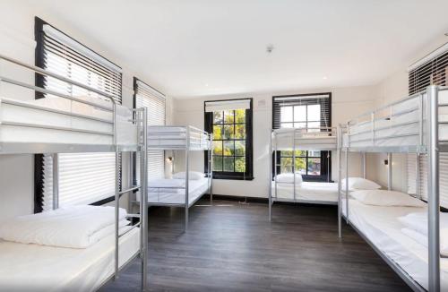 悉尼The Lansdowne Hotel的带4张双层床和2个窗户的客房