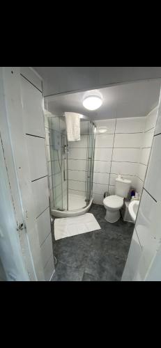 利兹St James Apartments的带淋浴和卫生间的浴室
