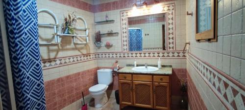 奥卡尼亚Habitación en Ocaña的一间带卫生间、水槽和镜子的浴室