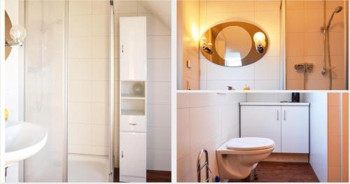 弗莱堡das Apartmenthaus in Freiburg的浴室设有卫生间和水槽,两幅图片