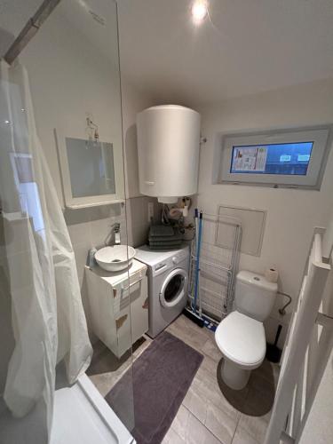 米卢斯# Le 6 # Joli petit studio ! Centre ville au calme的浴室配有卫生间、盥洗盆和洗衣机。