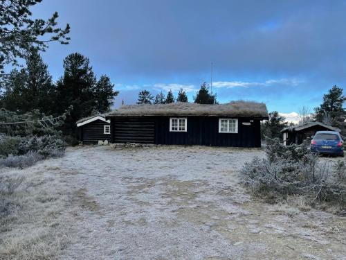 MysusæterMaurtua - cabin in lovely surroundings的一座带草地屋顶的黑色房子