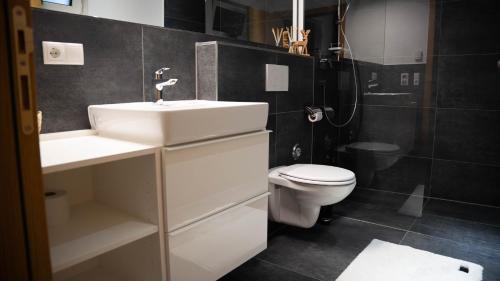 FritzensSonnige Gartenwohnung的浴室配有白色水槽和卫生间。