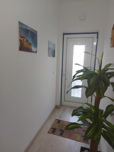 纳扎雷Nazaré Holidays的门旁一个房间里的一个植物