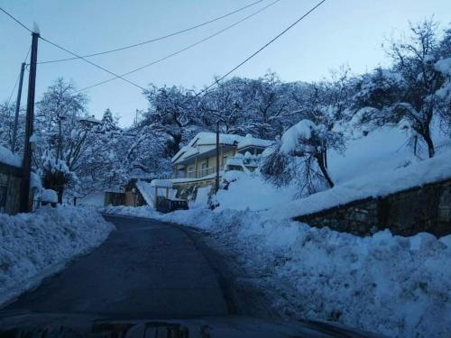 Serenity Traditional House平面图