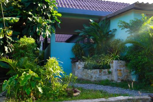 高龙撒冷岛House Bok Bowie的前面有植物的蓝色房子