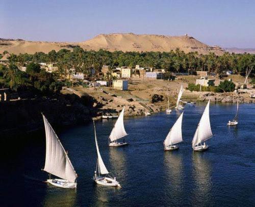 阿斯旺جوله بفلوكه في نهر النيل的一群帆船在一大片水中