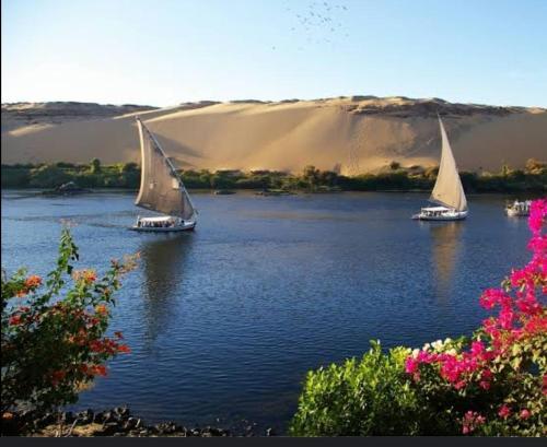 阿斯旺جوله بفلوكه في نهر النيل的沙丘前河上两艘帆船