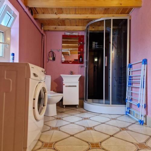 茨卡尔图博Colchis Guest House的一间带洗衣机和卫生间的浴室