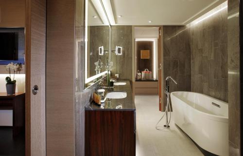 布鲁塞尔布鲁塞尔唐拉雅秀酒店的带浴缸、水槽和浴缸的浴室