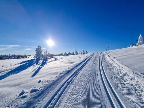 康斯博Turibu - cabin in a nice hiking and skiing area的雪地覆盖着一条雪地的小路