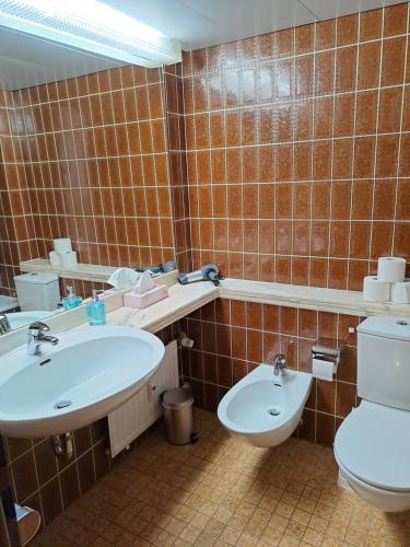 巴特萨尔茨乌夫伦Appartement-Residenz Suite 10的一间带水槽、卫生间和镜子的浴室