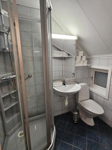 特罗姆瑟Enter Backpack Apartments的浴室配有卫生间、盥洗盆和淋浴。