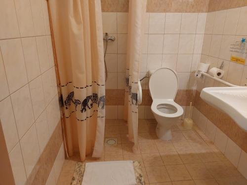 劳耶克特普利采拉吉旅馆的一间带卫生间和水槽的浴室