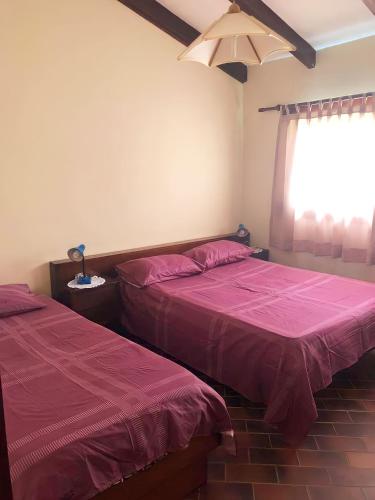 萨迈帕塔Cabañas Lijeron Samaipata的一间卧室设有两张床和窗户。