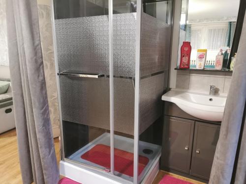 奥尔泰兹ACCUEIL LAFAYE21的一个带水槽的玻璃淋浴间