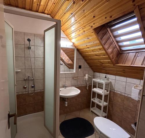 比克托特文迪迦斯旅馆的一间带水槽、淋浴和卫生间的浴室