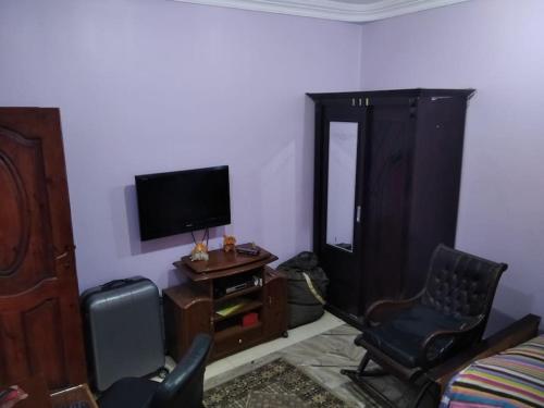开罗Duck Nest (Kak Kak)的客厅配有椅子和电视