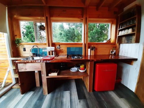 梅利佩乌科Tiny House Conguillio的房屋内的厨房设有大型木制岛屿