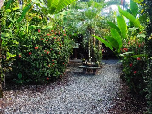 希门尼斯港Cabinas Tropicales的一个带长凳和一些植物的花园