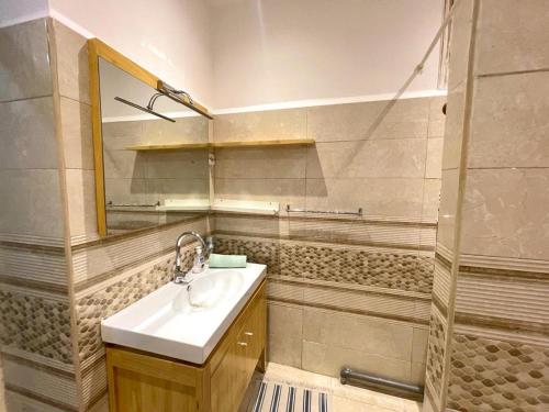 阿尔及尔Appartement Dans Immeuble Haussmanien的一间带水槽和镜子的浴室