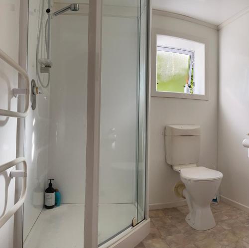 惠灵顿Hill View Abode Tawa的一间带卫生间和玻璃淋浴间的浴室