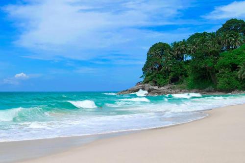 苏林海滩Holiday Inn Resort Phuket Surin Beach, an IHG Hotel的一片树木和海洋的海滩