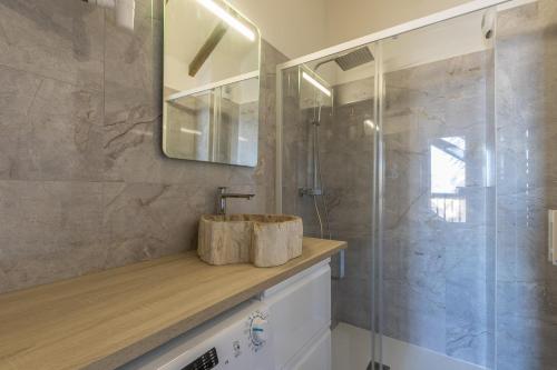 圣雷热雷梅累兹Les Chardons - Apt duplex vue montagne的一间带水槽和淋浴的浴室