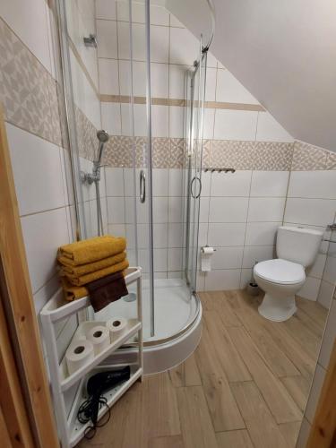兹瓦尔东Zwardoniówka Apartamenty pod Orawcową的带淋浴和卫生间的浴室