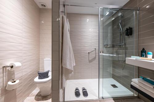 帕斯底拉卡萨Apartamentos Caribou的带淋浴和卫生间的浴室