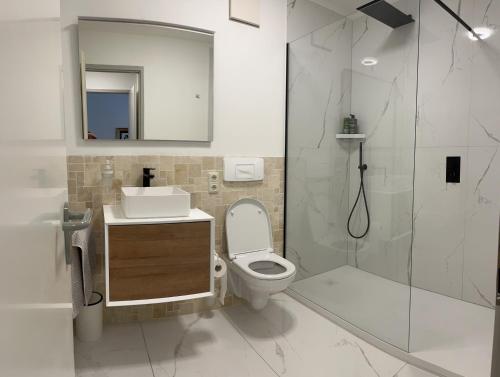 莱比锡Moderne Wohnung 2的浴室配有卫生间、盥洗盆和淋浴。