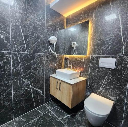 SarıkamısLİON HİLL RESORT的一间带水槽、卫生间和镜子的浴室