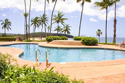 蒙内罗亚Kepuhi Beach Resort的一座棕榈树和海洋游泳池
