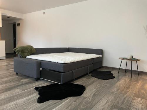 巴尔维Balvi flat的客厅的一张床铺,地板