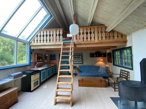 弗雷德里克斯伐克Artist Studio的一个小房子里的一个高架床,有梯子